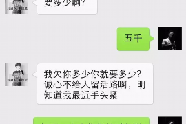 扬中贷款清欠服务